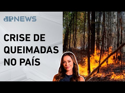 Brasil tem mais de 150 mil focos de incêndios em 2024; Patrícia Costa analisa