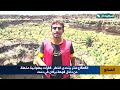 القعقاع عنتر يتحدى فوهة بركان في الضالع بحركات مذهلة!