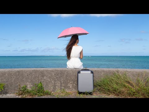 さよなら夏の日 - 山下達郎（フル）