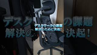 爆売れ中のLiberNovo Omniがセール開始！パーフェクトチェアを買うなら今ですよ！【 APEX のったん 】#libernovo #