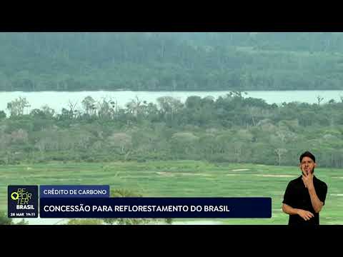 Crédito de carbono: empresa vence concessão para reflorestar áreas degradas
