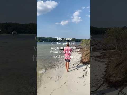 Mold Exposure on Vacation