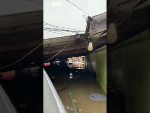 Rescuers save dogs from rooftop after catastrophic flooding