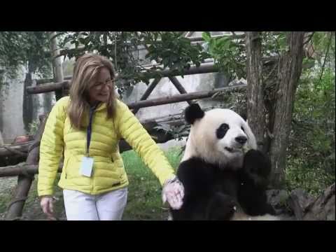 Kung Fu Panda 2 Featurette - Animating Pandas