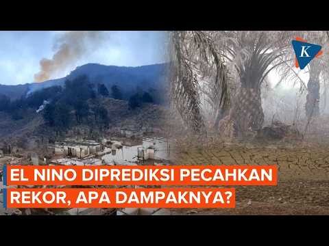 El Nino Terkuat Sejak 1950, Kenapa Asia Paling Terancam?