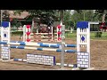 Show jumping horse Mooie, vriendelijke BWP merrie