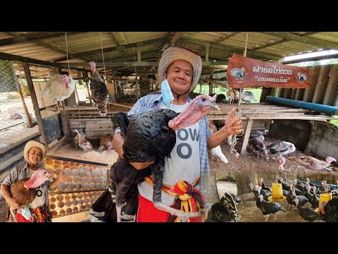 เกษตรอำเภอเกษียณใช้เวลาว่าง-เล เกษตรอำเภอเกษียณใช้เวลาว่าง-เล
