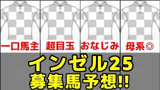 【一口馬主】インゼル募集馬予想2025【ハウナニ24/スカイダイヤモンズ24】