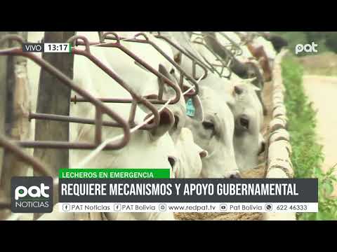 Productores lecheros en emergencia