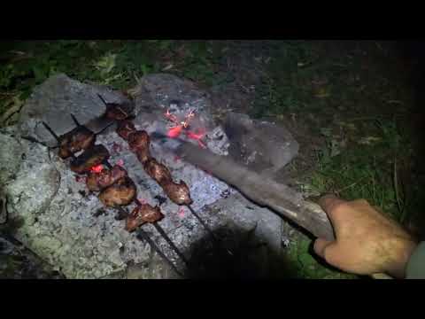 Дністер, сом, шашлик