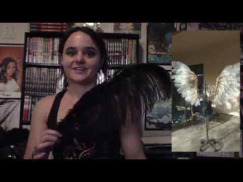 feather overview