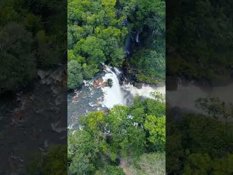 Drone view... #jungle.