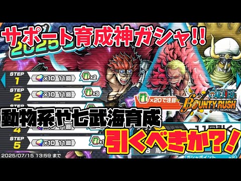 【サポ育成】七武海に動物系!!今年から多いサポート育成ガシャがかなり熱い！【バウンティラッシュ】