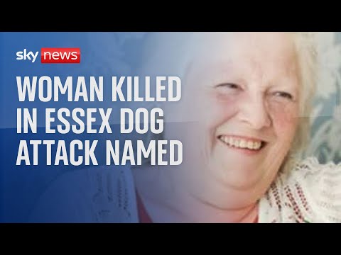 Woman, 68, dies after being mauled by two dogs in Jaywick, Essex