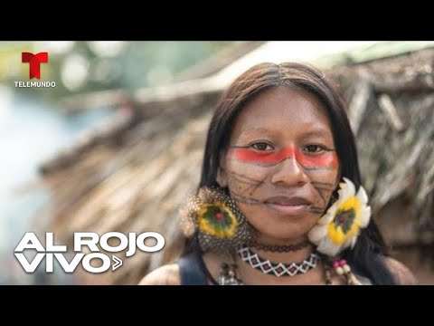 Tres mujeres indígenas rescatan tribu al borde de la extinción en la Amazonía