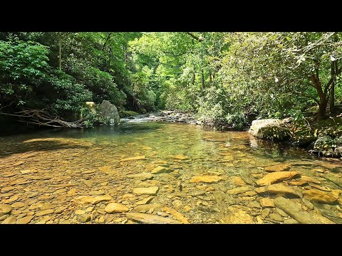 Streams like this make Fly Fishing INCREDIBLY Fun and Addicting!