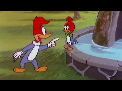 Woody Finds the Fountain of Youth! | Woody Woodpecker