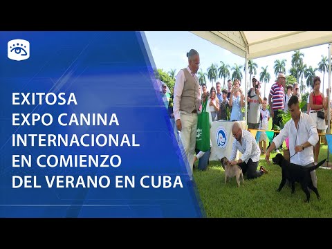 Cuba - Exitosa expo canina internacional en comienzo del verano en Cuba