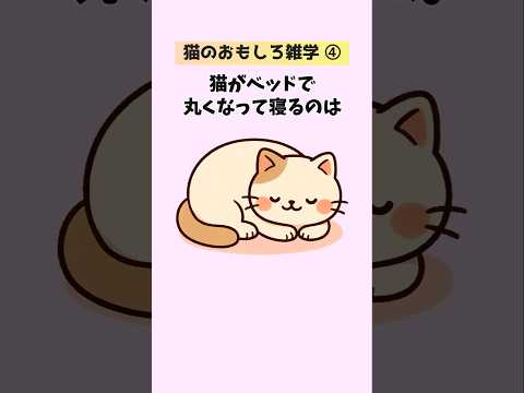 猫の動画サムネイル - 必見！猫の面白い雑学【30選】④ #猫 #雑学 #豆知識 音声「VOICEVOX：ずんだもん」さん