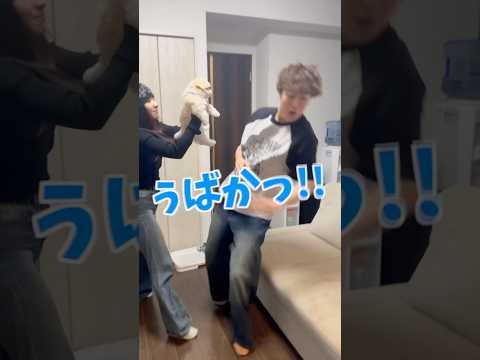 犬嫌いな相方に克服させてみたwwww#shorts