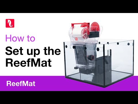 How to set up the ReefMat smart roller filter.