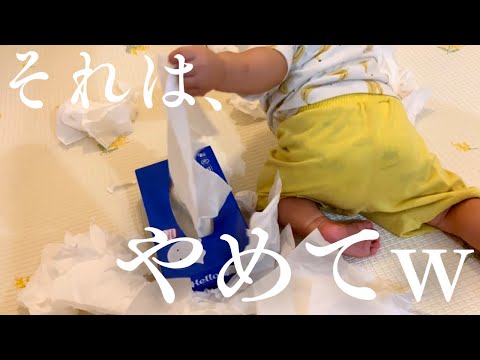 [ じゃ、お先に ]閣下(妻)の晩ご飯と離乳食を同時に作りながらお小遣いUPを狙いにいく動画