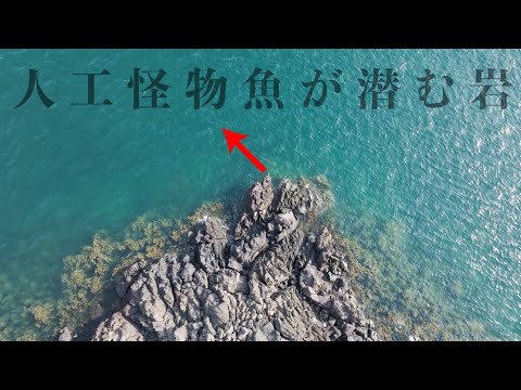 人類が生み出した獰猛な巨大魚”タマクエ”…大問題になった謎多き怪魚を追う2日間【日本一周九州編】