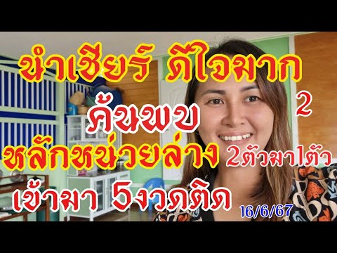 ด่วนนำเชียร์อดใจไม่ไหวค้นพบส