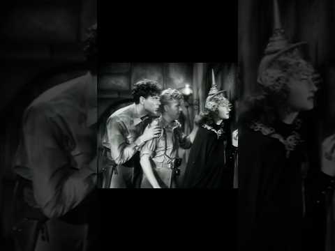 The treasure does not exist 📺 Terry & The Pirates