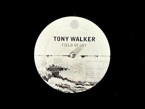 Tony Walker - Field Of Joy (2000)