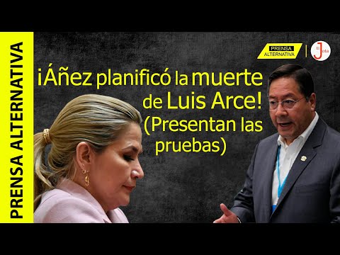 Indignación en Bolivia contra Áñez por planificar m*gnicidio de Arce!