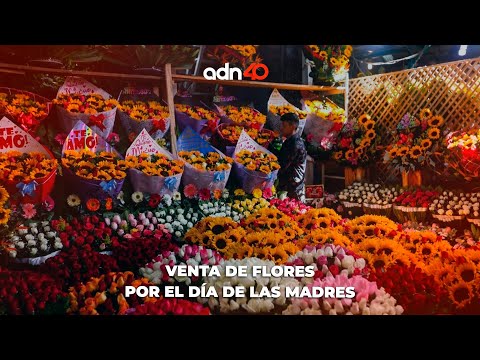 Venta de flores en el mercado de Jamaica por el di?a de las madres Tu ciudad en tiempo real