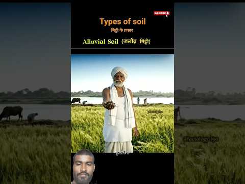 #nivetadhingramusic👌👍❤️#luckygamaplay #viral #shorts #viralvideo #freerista