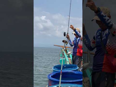 #wow so funny 😂 #shortvideo #fishing #trending #reels #cooking #trending #food