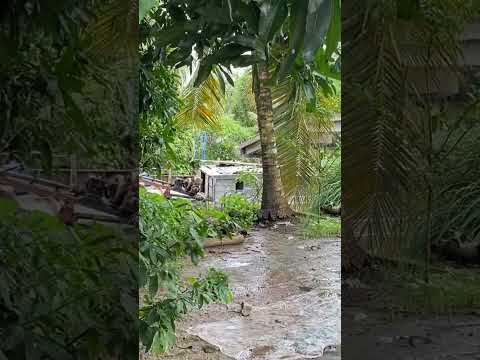 ngày 6 tháng 10, 2025