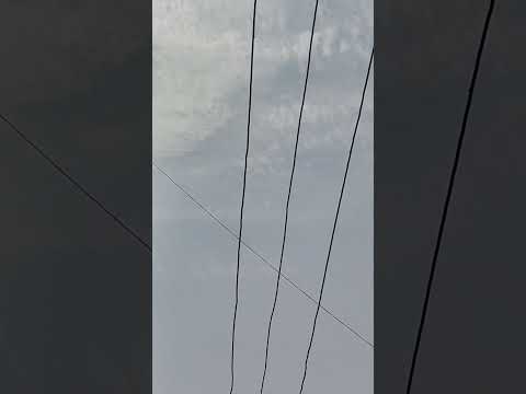 Kabutar ki tournament ke din shikra🦅 kabutar Ke Piche Lag Gaya 🕊️ 💯😨😮