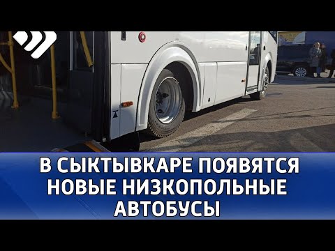 С 1 сентября на сыктывкарских маршрутах № 6, 7 и 20 начнут курсировать  низкопольные автобусы