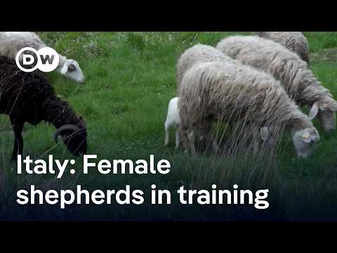 How an Italian shepherd school creates opportunities for women in the countryside | Focus on Europe