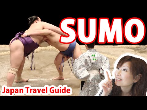 Japan Guide: SUMO: 4 Things You Should Know about SUMO Wrestling : Japan Travel Guide