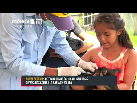 Aplicarán más de 54 mil dosis de vacuna contra la rabia en Nueva Segovia -Nicaragua
