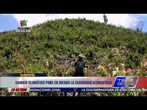 Honduras | Cambio climático pone en riesgo la seguridad alimenticia.
