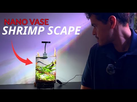 EasyTiny VASE PLANTED Tank! - SHRIMP VASE AQUASCAPE (FULL TUTORIAL)