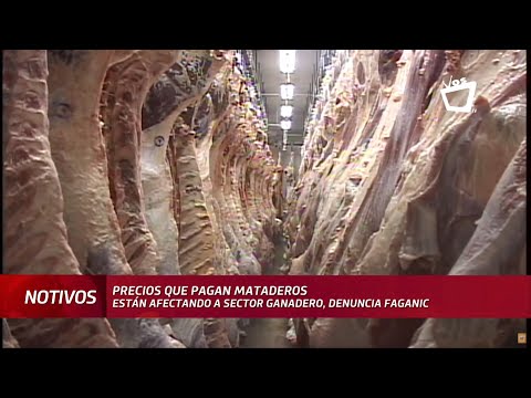 Faganic: Bajos precios que pagan mataderos está afectando a sector ganadero
