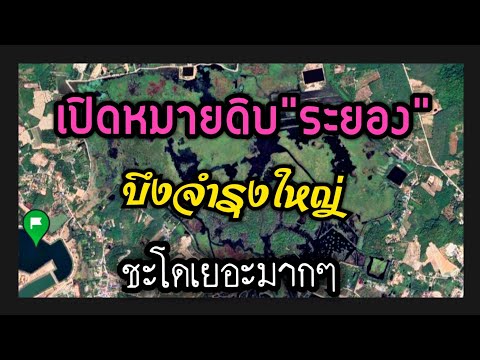 หมายชะโดที่ดิบมากๆ-เพราะไม่ค่อ หมายชะโดที่ดิบมากๆ-เพราะไม่ค่อ
