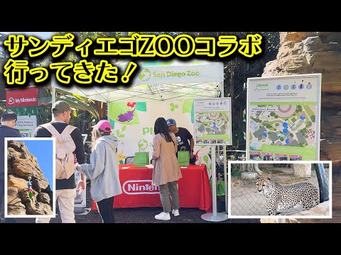 【ピクミンブルーム】サンディエゴZOOコラボ行ってきた！【Pikmin Bloom】