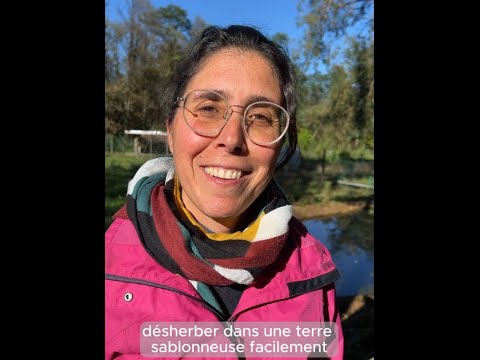 Témoignages de bénévoles au Kibo, écolieu spirituel