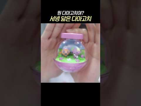 서넹 닮은 다마고치'ㅁ' 뭔 다마고치여?