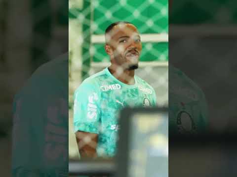 image para ilustrar o artigo