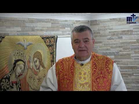 Homilía de hoy | Domingo de Pentecostés | 19-05-2024 | Pbro. Santiago Martín, FM