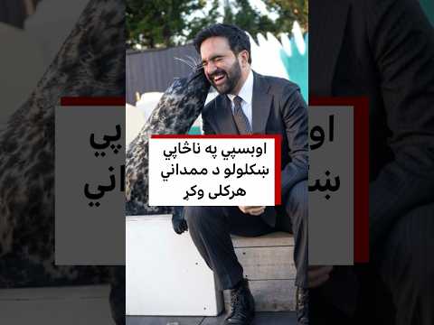 اوبسپي په ناڅاپي ښکلولو د ممداني هرکلی وکړ